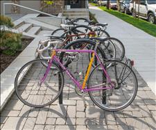 CycLoops Basic Bike Rack 2170-3-01